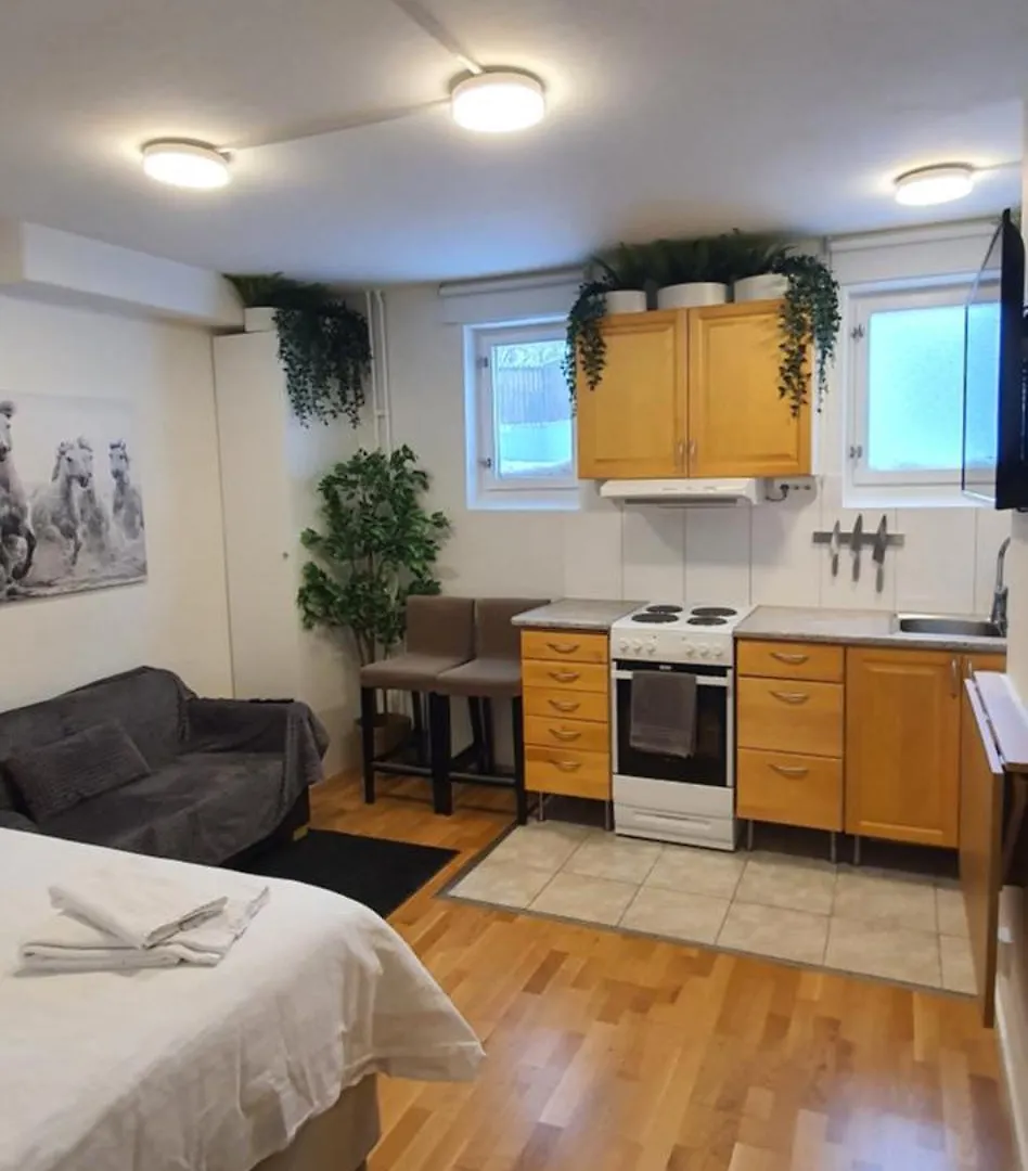 Studio Apartment Near Metro And Forest! Ville de Ville de Stockholm
